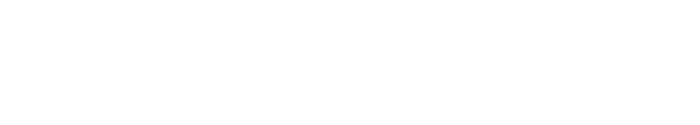 LGU
