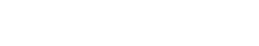 LGU