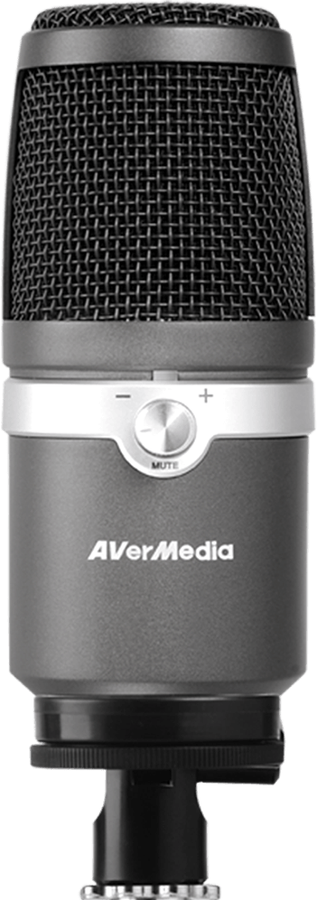 AM310