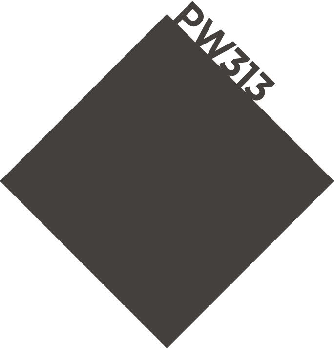 PW313