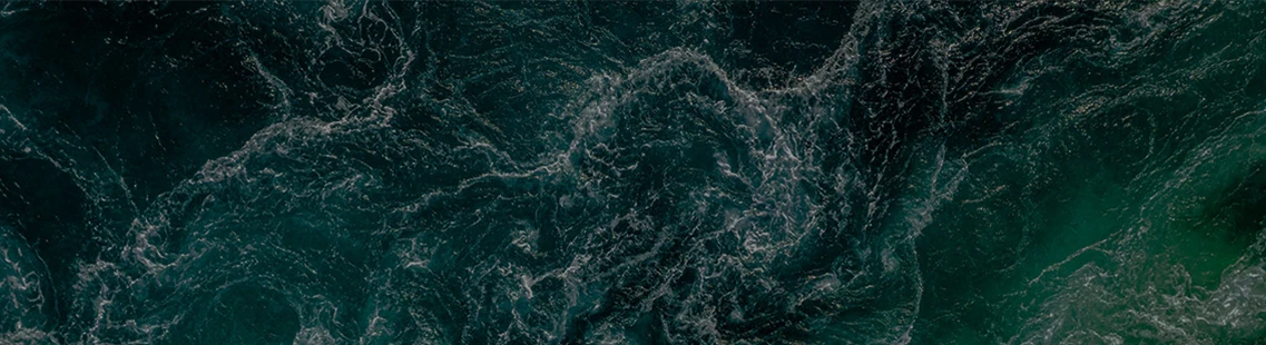 Global Sustainability